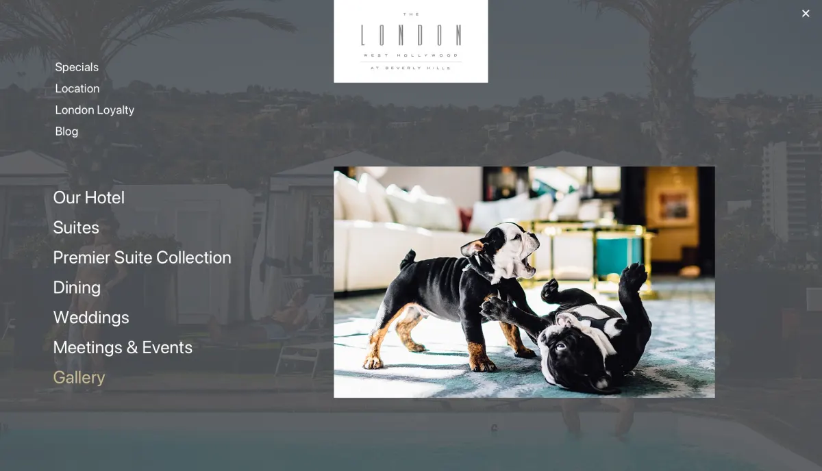 The menu as designed: Our Hotel, Suites, Premier Suite Collection, Dining, Weddings, Meetings and Events and Gallery on the left, Specials, Location, London Loyalty and Blog above them, and a photograph of the hotel's two bulldog puppies on the right