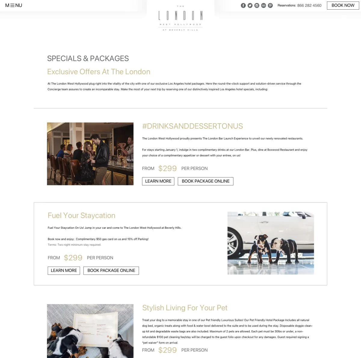 The Specials and Packages page as designed: package cards with a photograph, a title in gold, a from-price and Learn More and Book Package Online buttons