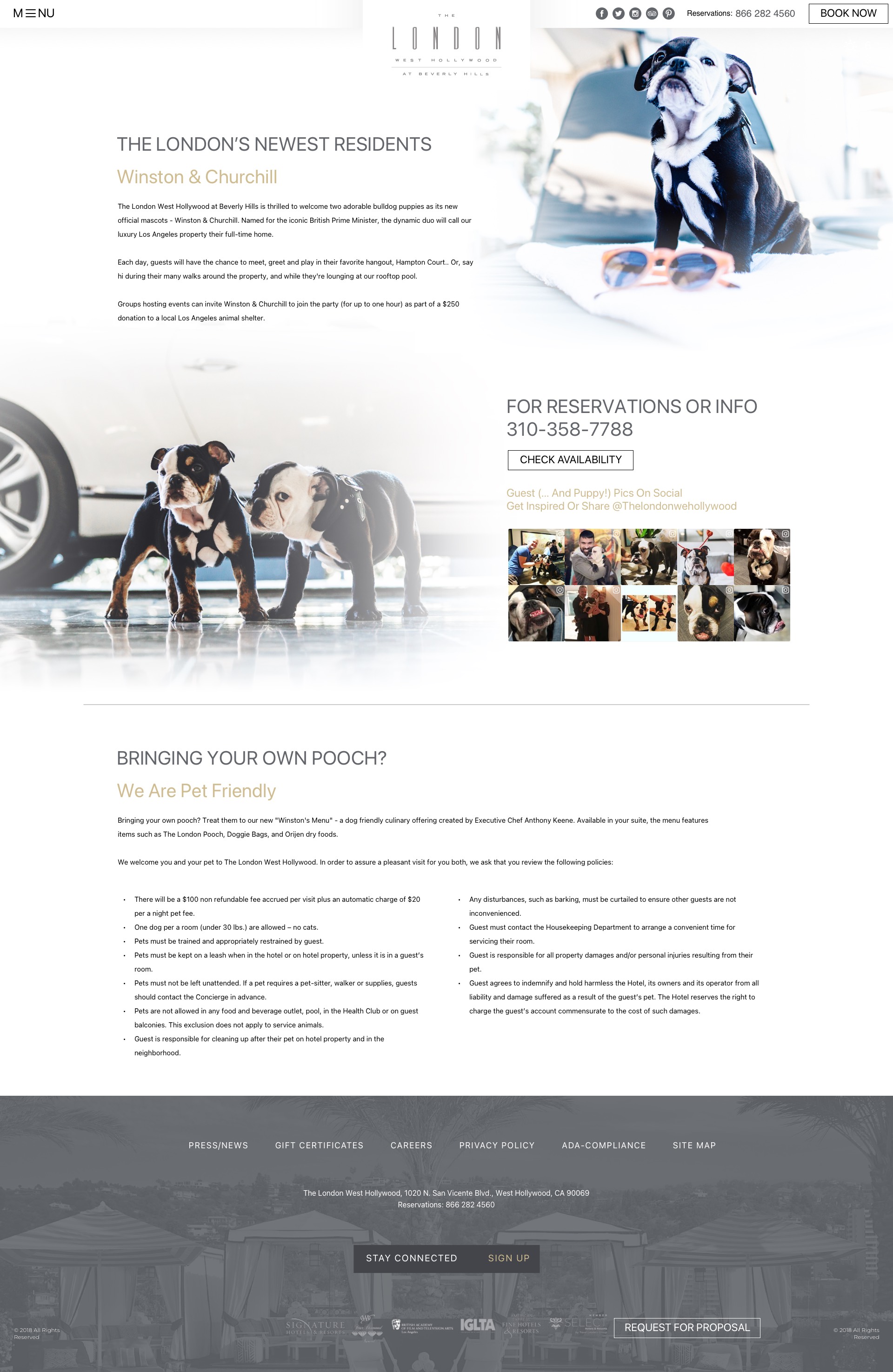 London West Hollywood