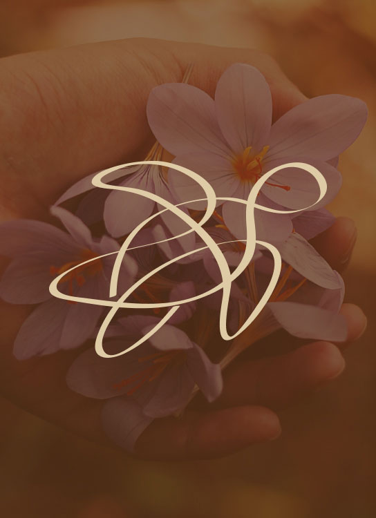 Cabo San Lucas Resort – Los Cabos Pedregal